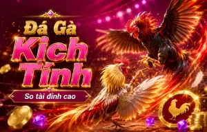 Giao diện Đá Gà hpcgconsulting
