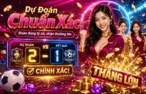 hpcgconsulting Thể Thao